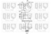 QUINTON HAZELL QFP53 Fuel Pump